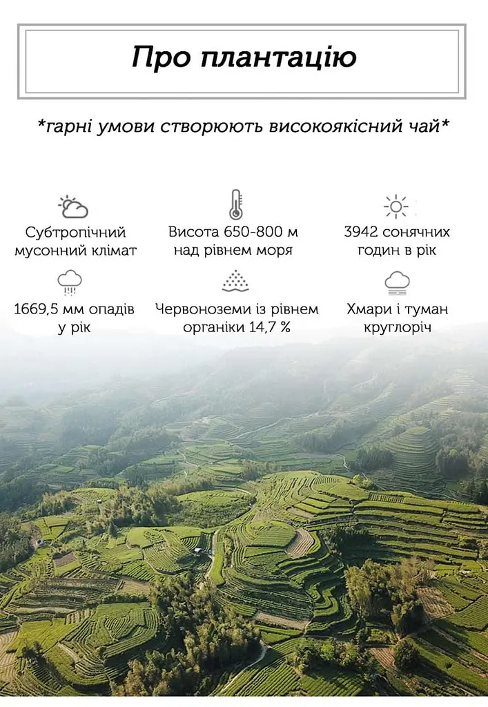 Чай Newtea Бай Хао Інь Чжень Лі Да 2019 р. - 350 г - фото 4