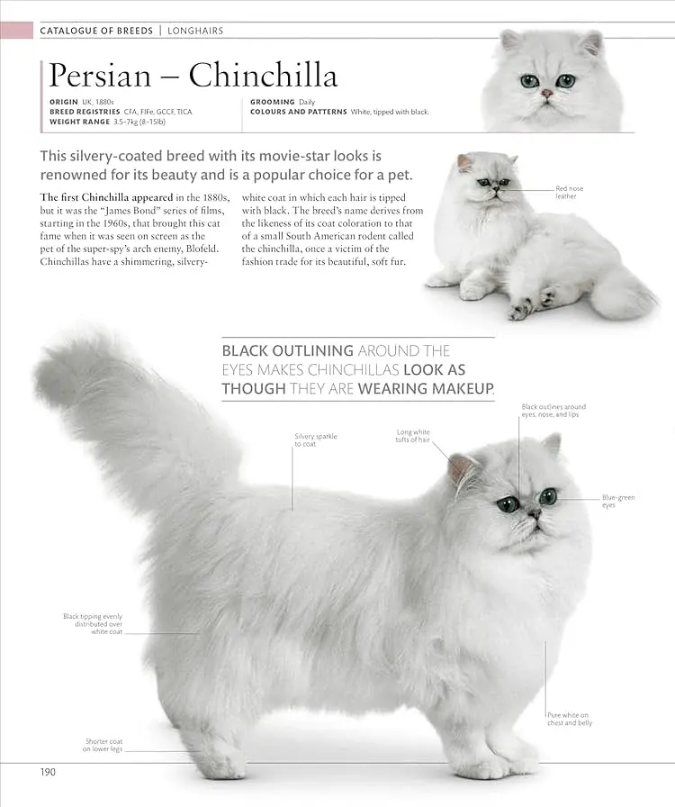 The Cat Encyclopedia - фото 16