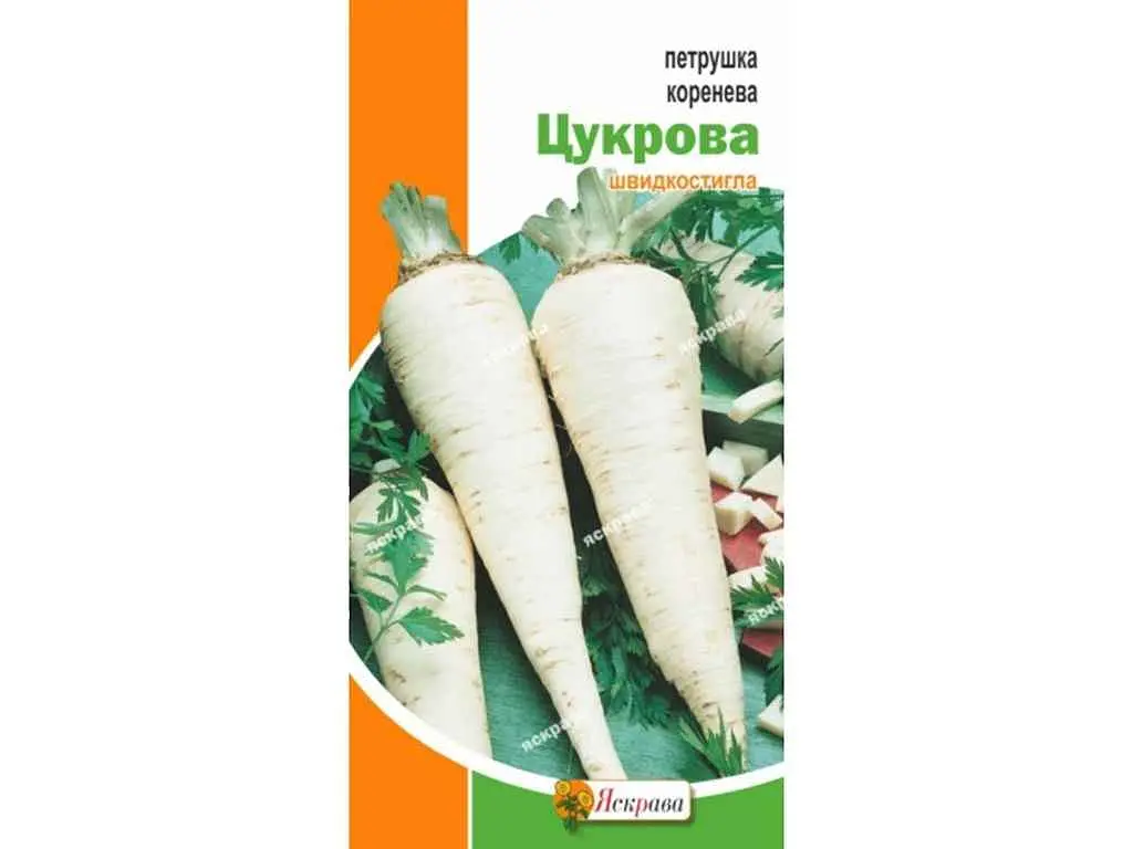 Петрушка коренева ЯСКРАВА Цукрова (20 пачок) 2г