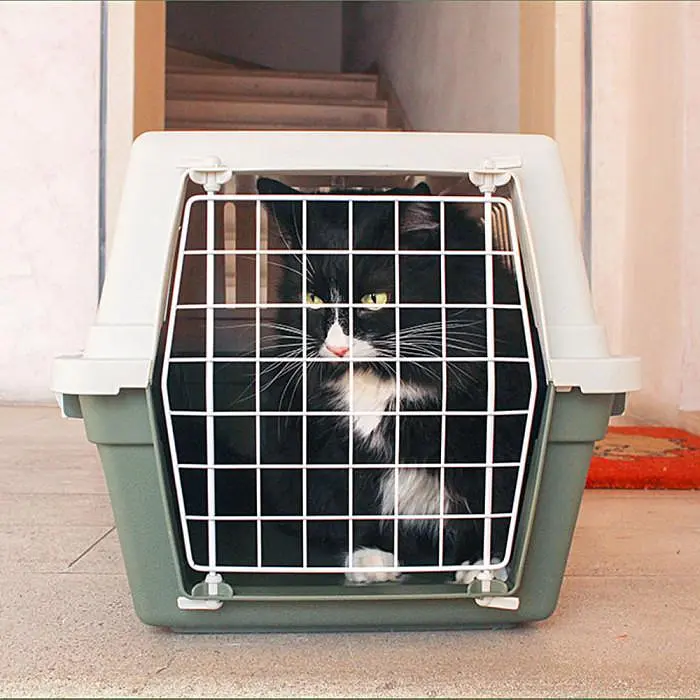 Fepplast ATLAS 30 EL багатофункціональне переноска для котів та собак - фото 6