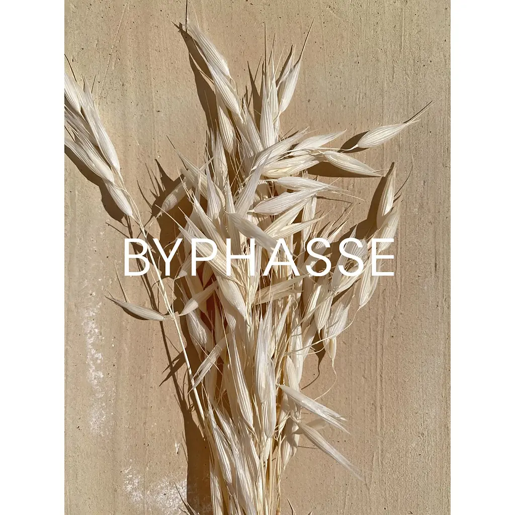 Молочко для тіла Byphasse Lait Eclaircissant Whitening Effect екстрактом вівса 500 мл - фото 5