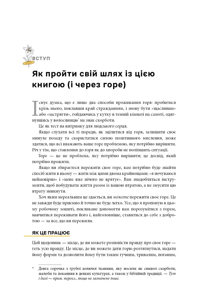 Як жити з тим, що неможливо виправити. Щоденник горювання - Меґан Девайн - фото 4
