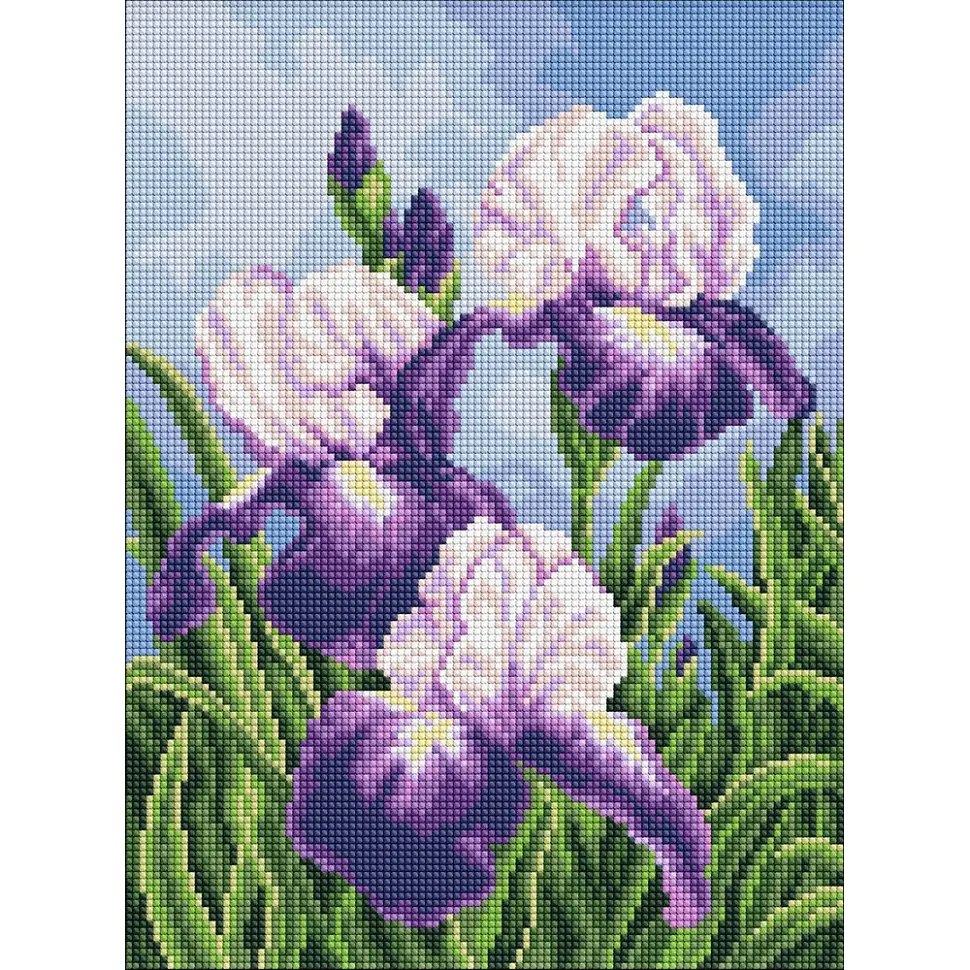 Алмазна мозаїка "Іриси просто неба" art_selena_ua Ideyka AMO20470, 30х40 см