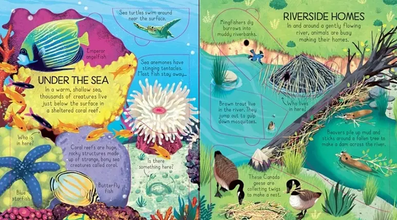 Look Inside Animal Homes - Emily Bone, англ. язык (9781474942928) - фото 3