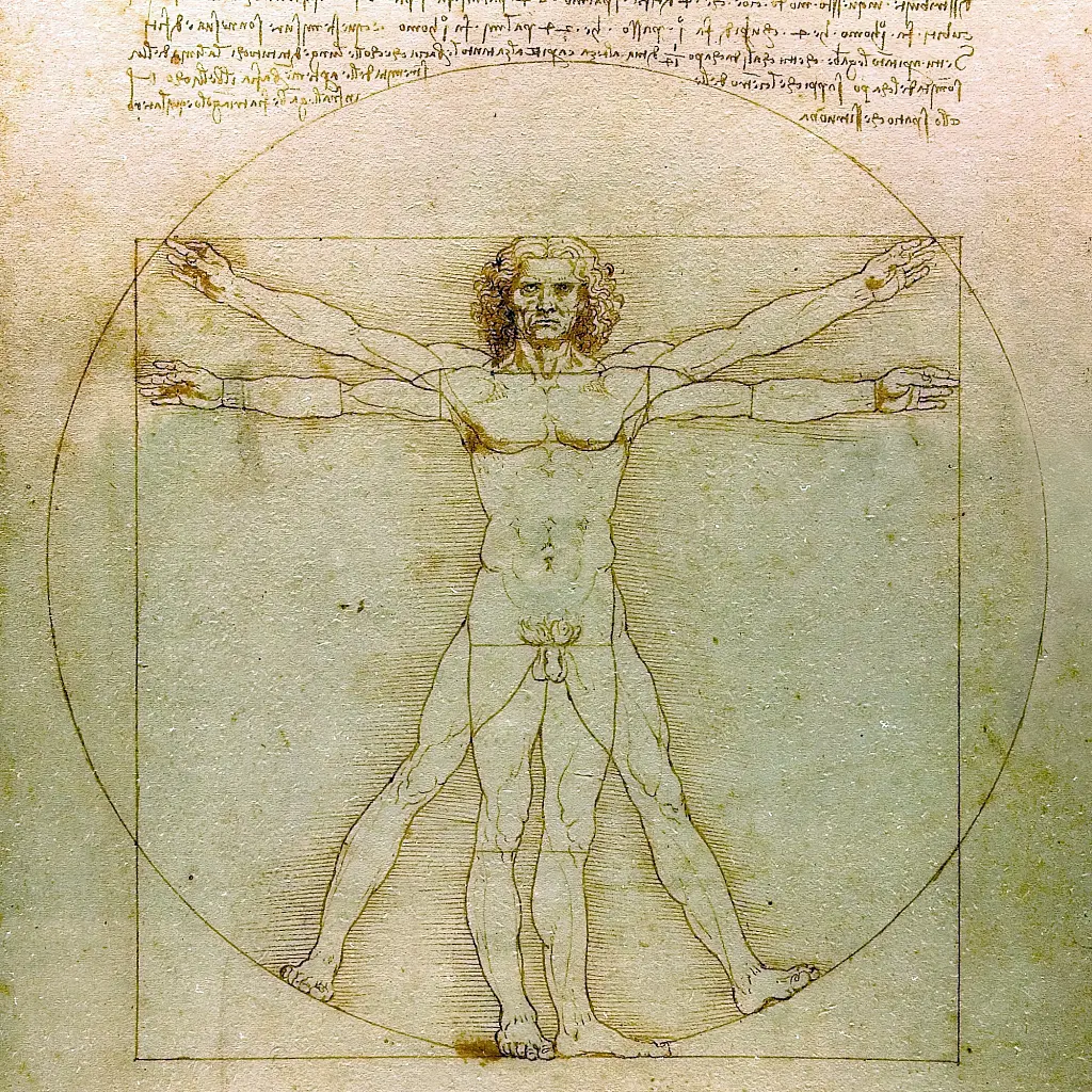 Інтер'єрна картина Вітрувіанська людина, Леонардо да Вінчі, Leonardo da Vinci, Vitruvian Man, інтер'єрний декор, 60×43 см (id6952) - фото 4