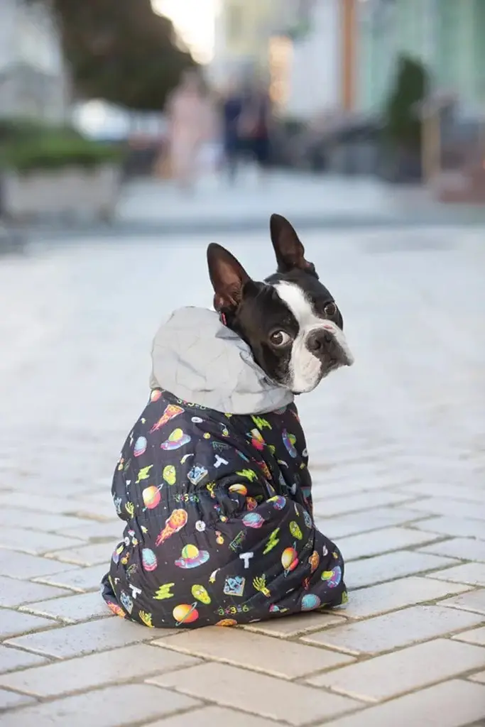 Комбінезон для собак Waudog Clothes, Рік та Морті 2, M35 - фото 4