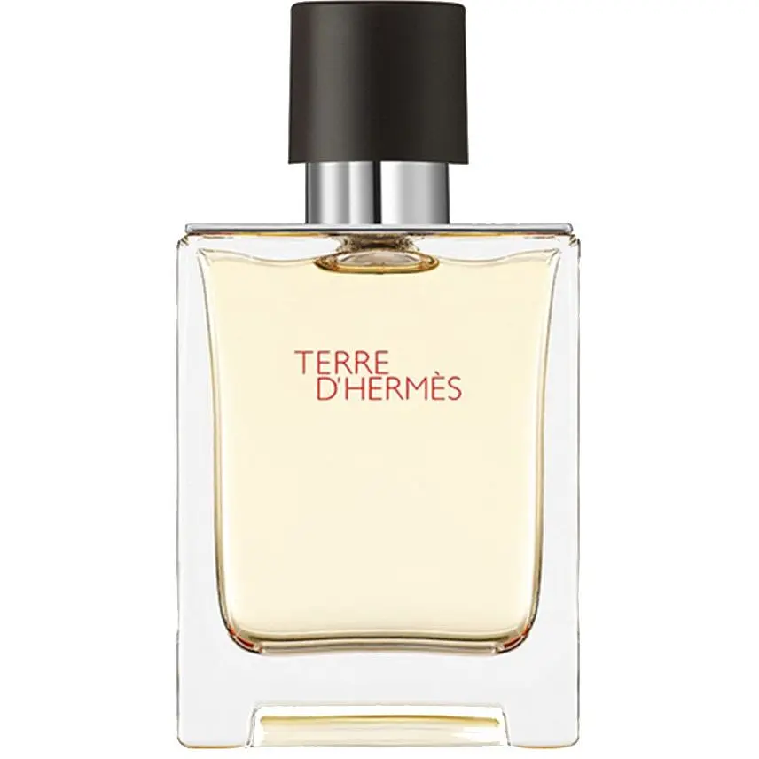 Туалетна вода Hermes Terre D'Hermes, 50 мл - фото 2