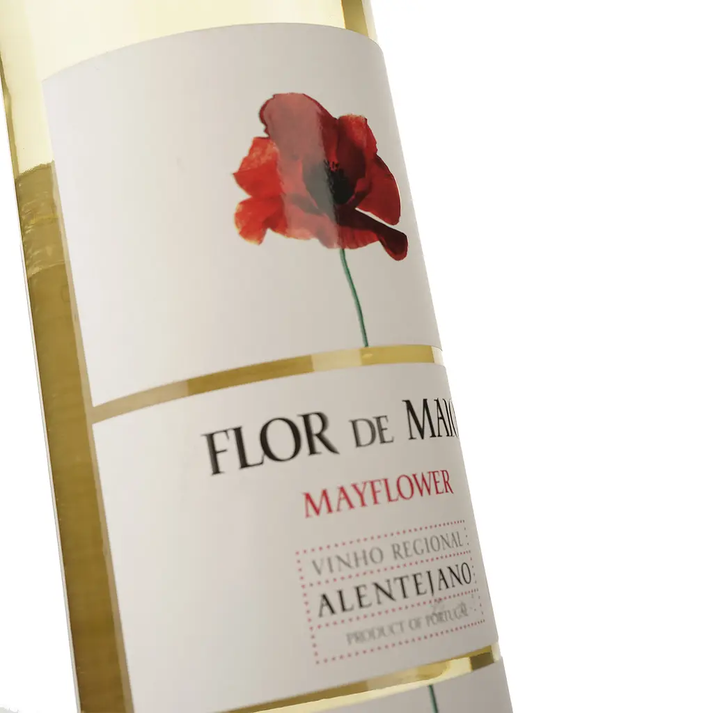 Вино Magnum Flor de Maio White DO Alentejo 2022 сухое белое 0.75 л - фото 3