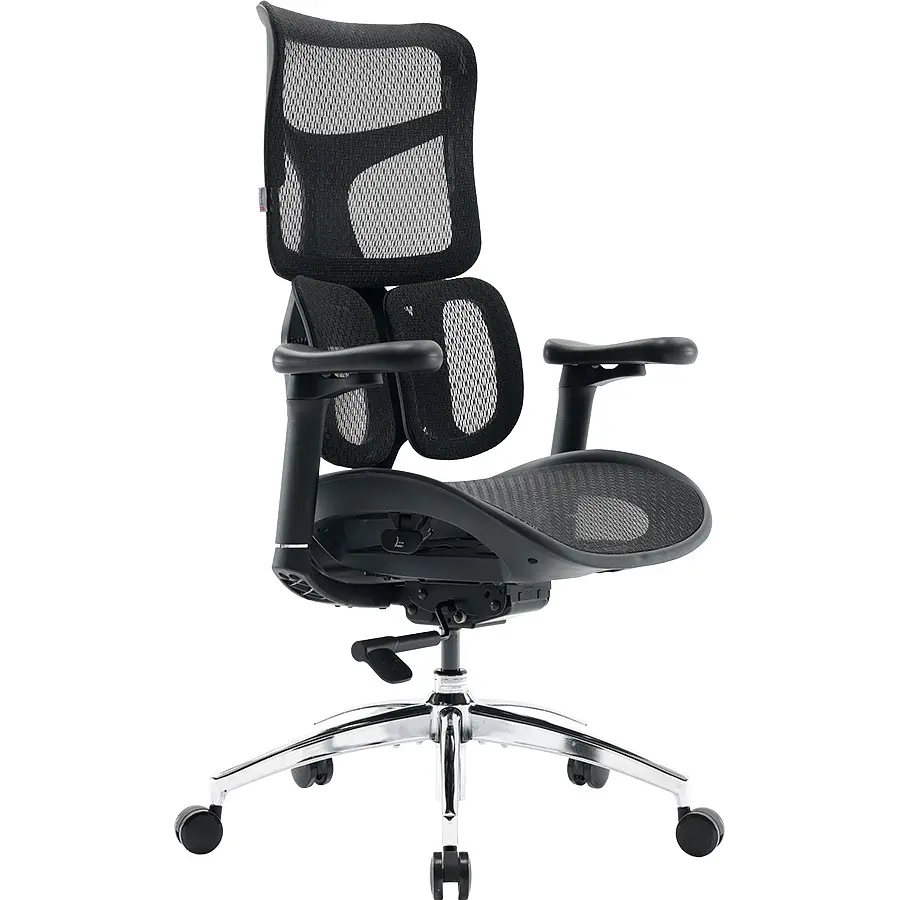 Офисное кресло Sihoo Doro S100 Mesh Black (S100-M301) - фото 5