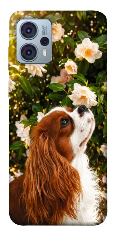 TPU чохол Demsky Flower spaniel для Motorola Moto G23