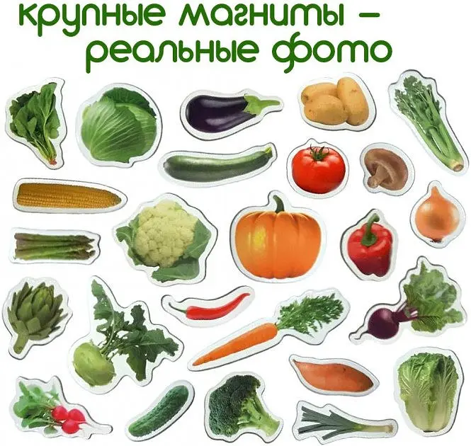 Набор магнитов Magdum "Овощи" ML4031-12 EN - фото 8