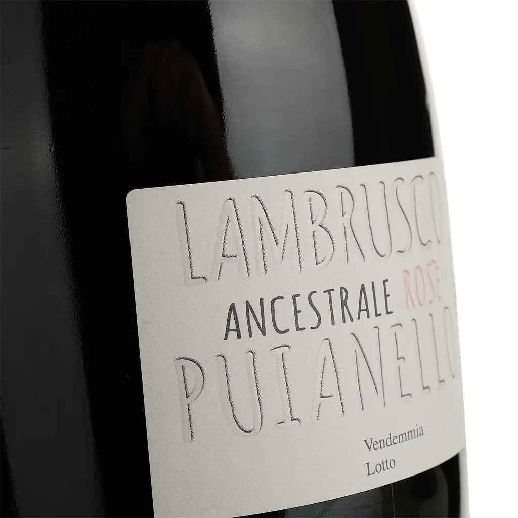 Вино игристое Puianello Ancestrale Lambrusco dell'Emilia IGT розовое сухое 0.75 л - фото 3