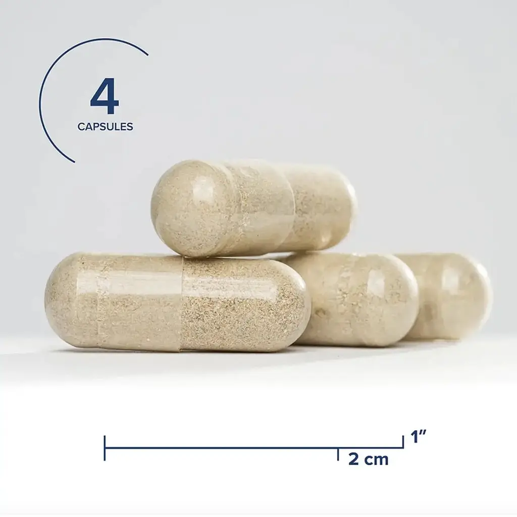 Поживні речовини для жовчного міхура Seeking Health Gallbladder Nutrients Supports Bile Production & Flow 120 вегетаріанських капсул - фото 2