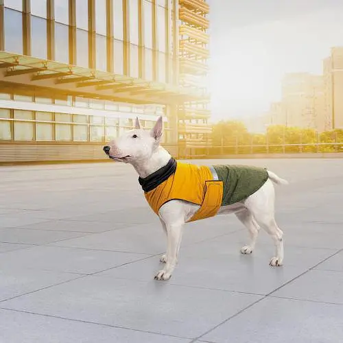 Попона Pet Fashion Roy для собак, размер 4XL, хаки-горчица - фото 7