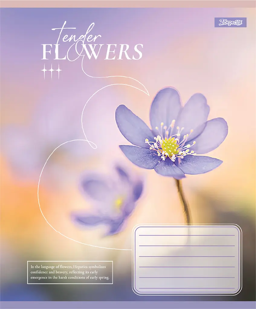 Упаковка зашитів 1В Tender Flowers учнівський загальний 10 шт./48 лін. (768081) - фото 6