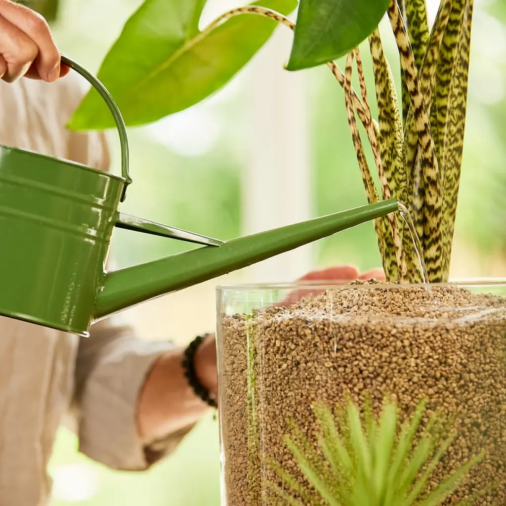 Субстрат Compo Bio Granuplant для кімнатних рослин 6 л (8818) - фото 8