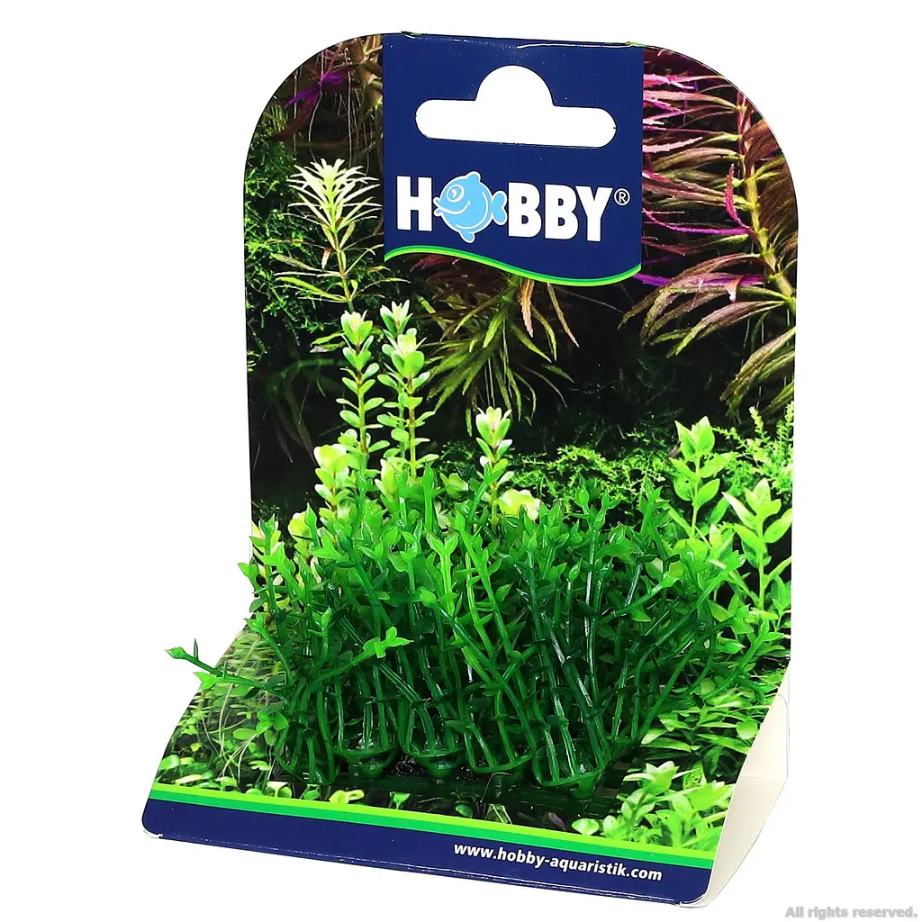Штучна рослина Hobby Plant Pad 1 7x4,5x5,5 см (51551) - фото 5