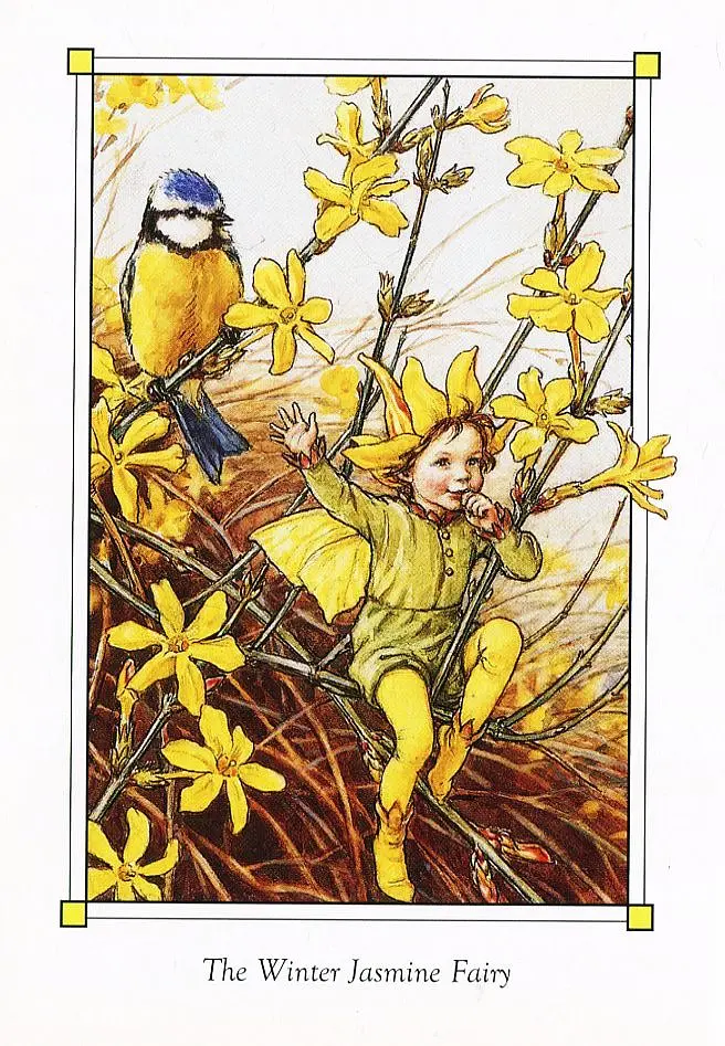 Flower Fairies of the Winter - фото 8
