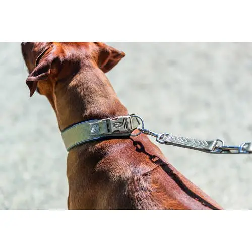 Нашийник для собак Trixie Premium екстраширокий L-XL 53-62 см 50 мм пісочно-сірий - фото 5