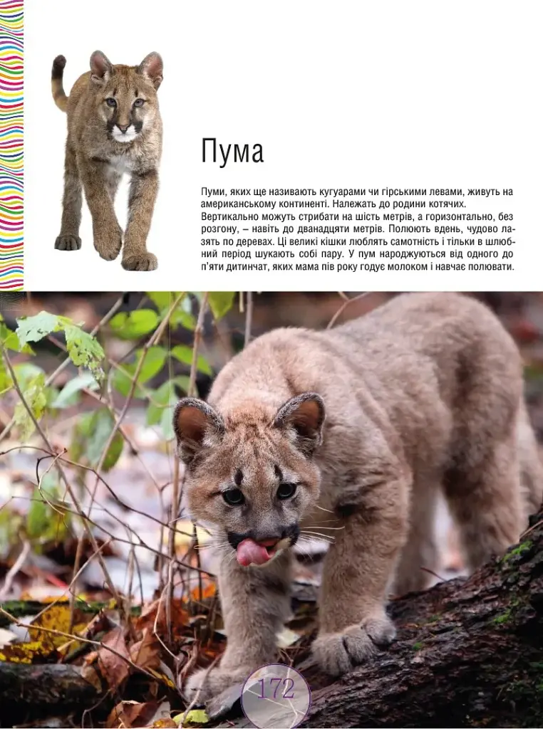 Малята-звірята - - фото 16