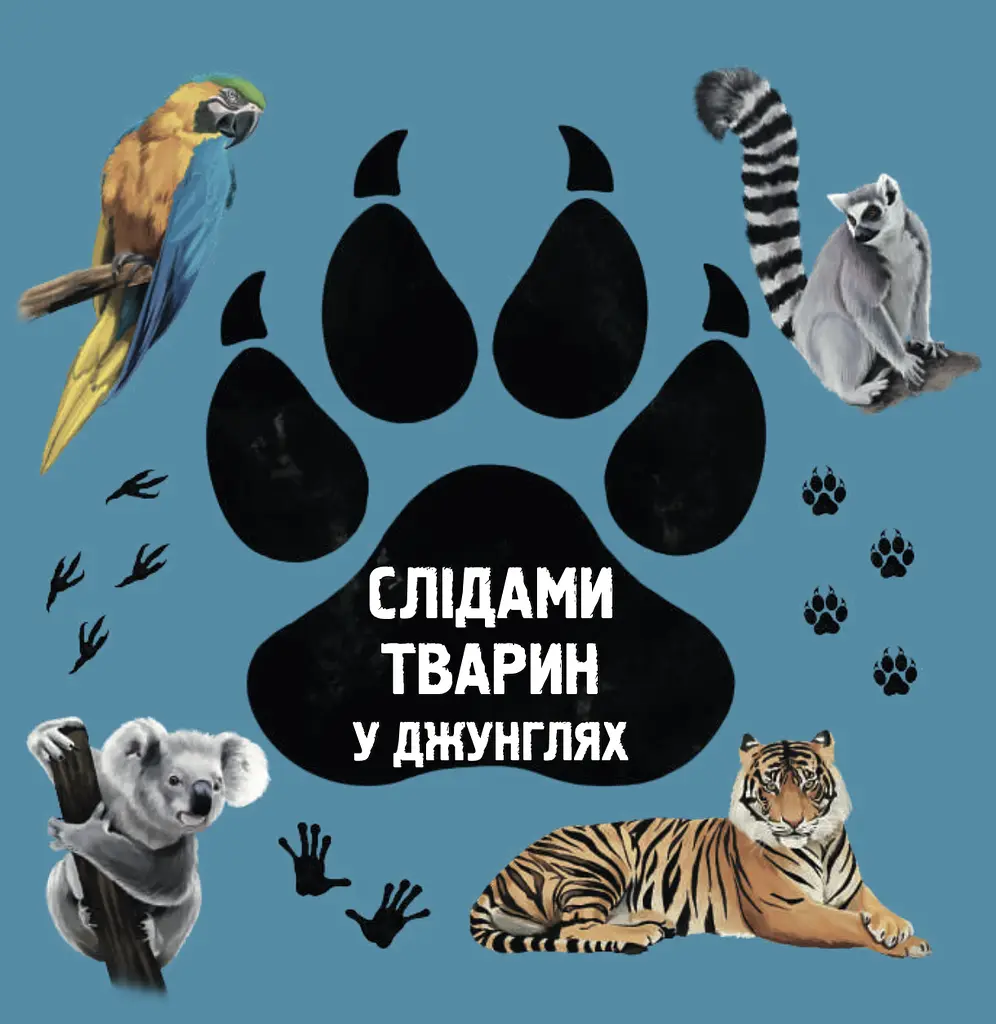По следам животных. В джунглях