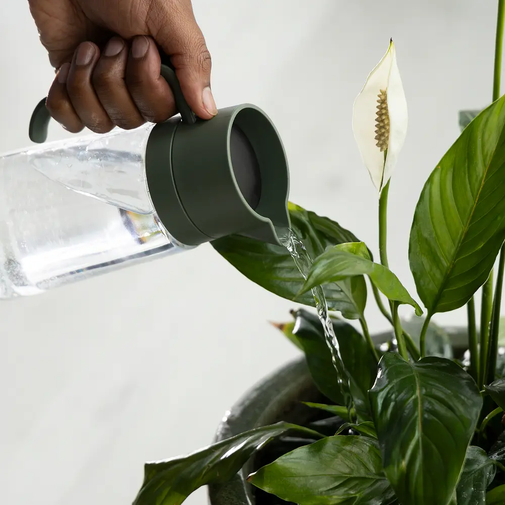 Лійка для кімнатних рослин Fiskars Carafe, 0.5 л (1080775) - фото 4