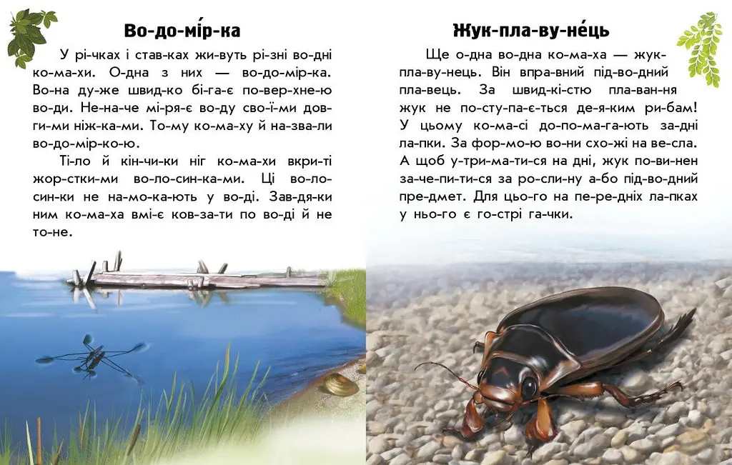 Книга Ранок Читаю про Україну. Тварини річок та морів - Юлія Каспарова (С366024У) - фото 3