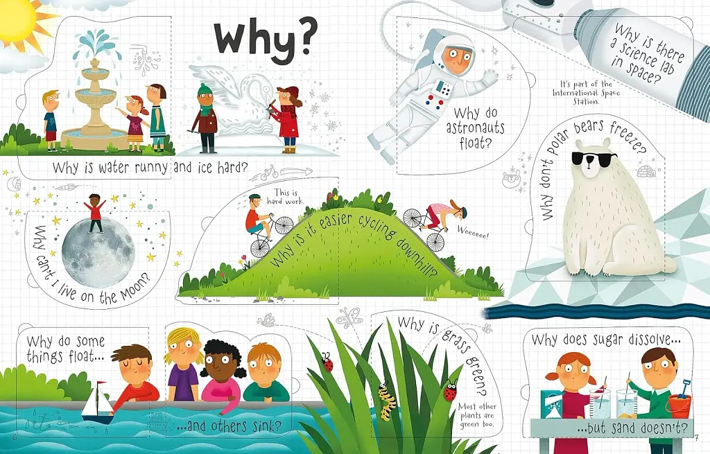 Lift-the-Flap: Questions and Answers About Science - фото 2