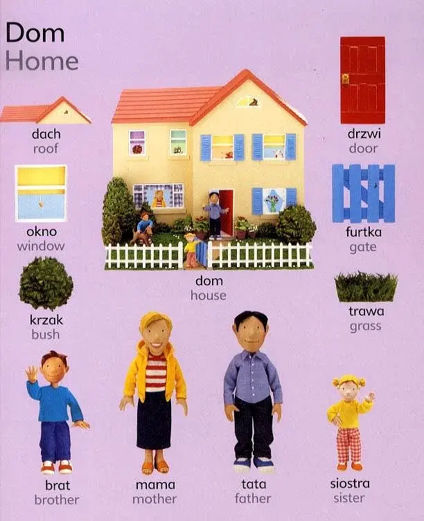 First Picture Word Book In Polish - фото 5