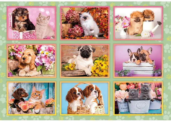 Пазл Clementoni Super: Колаж цуценят (Super - Puppies Collage Puzzle - 180 pcs.), 180 ел. (29788) - фото 2