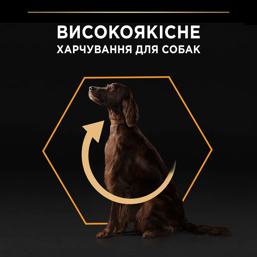 Сухой корм для взрослых собак больших пород с чувствительным пищеварением Purina Pro Plan Large Athletic, с курицей, 14 кг + 2.5 кг - фото 5