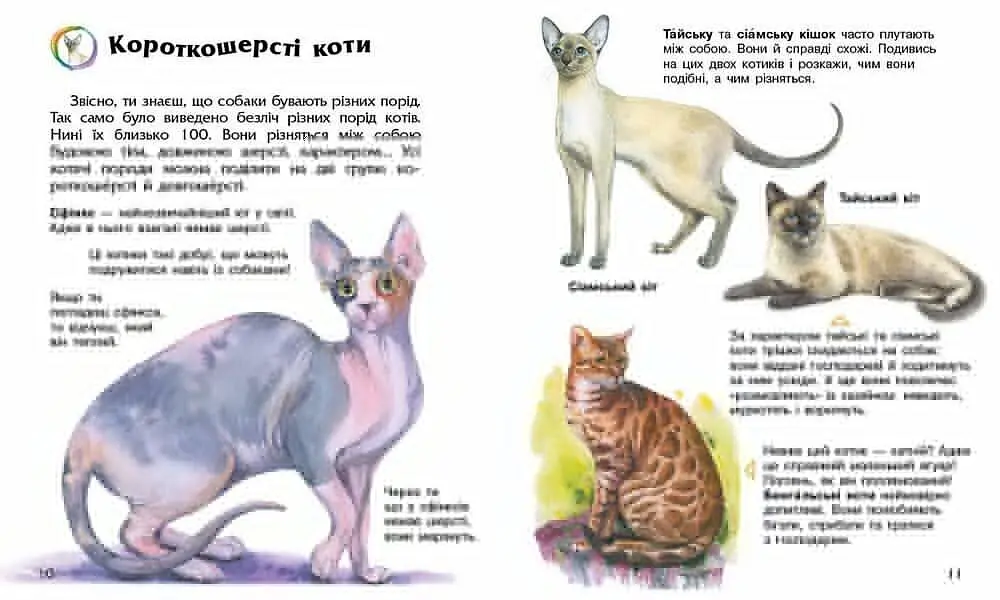 Книга Енциклопедія дошкільника: Коти Ранок С614039У shop (9786170992741) - фото 2