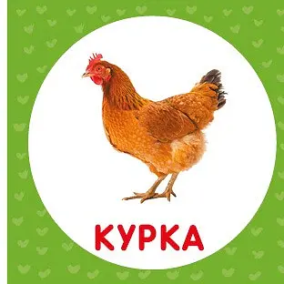 Свійські тварини. Перша книжка малюка - фото 6