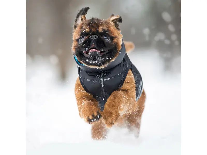 Курточка для животных Airy Vest двусторонняя M 47 чёрно-голубая (1893) - фото 4