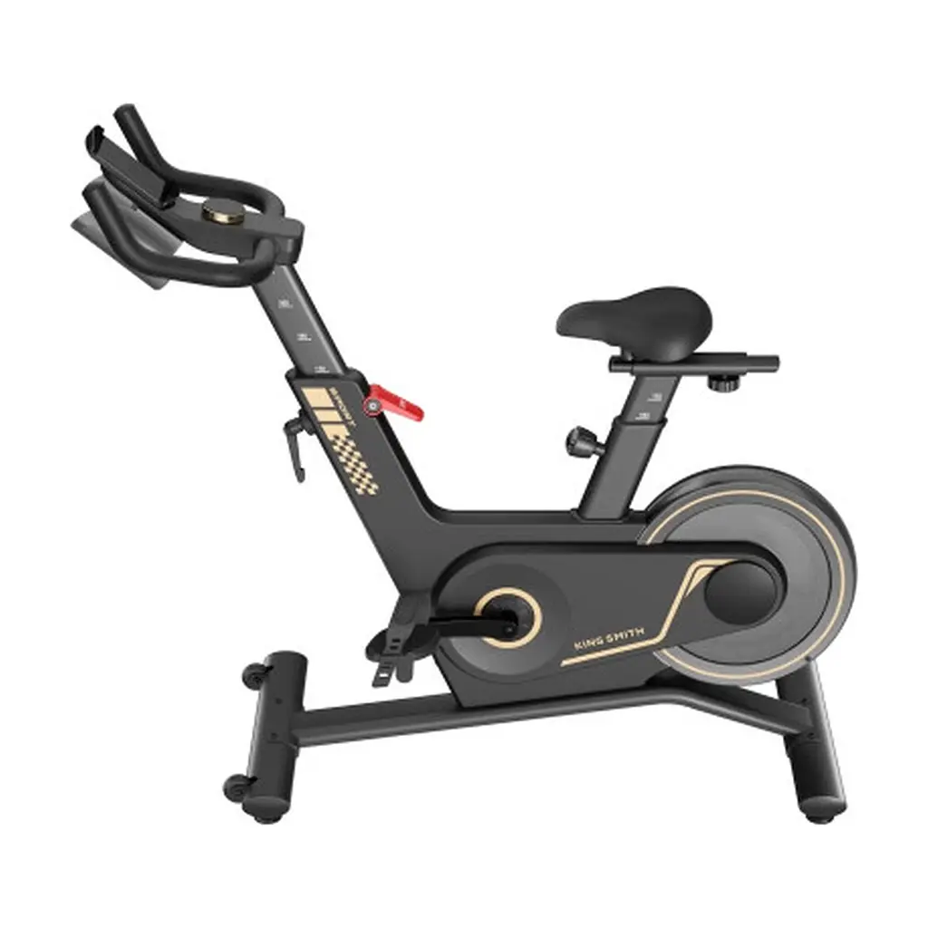 Велотренажер Kingsmith Spinning bike PB08S black (PB08S BLACK) - фото 8