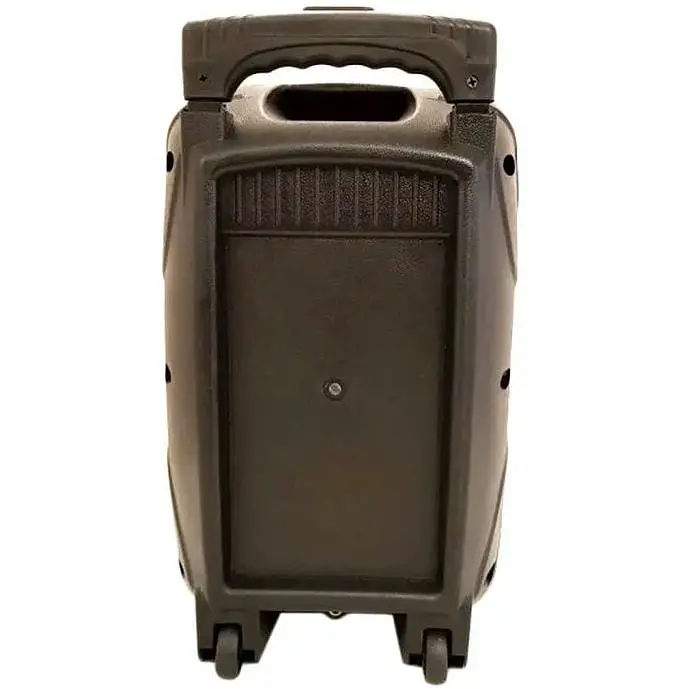 Акустическая система XPRO 895 с микрофоном (MER-15704_2772) - фото 7