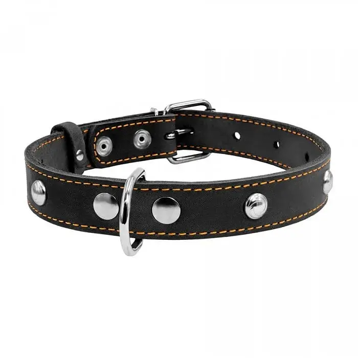 Нашийник Collar одинарний з прикрасами, 32-40х2 см, чорний - фото 2
