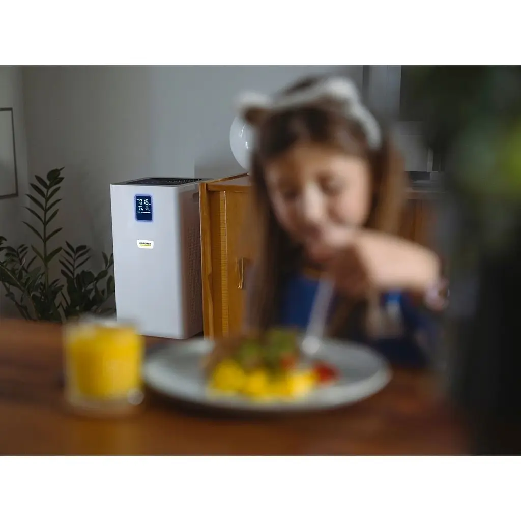 Очиститель воздуха Karcher AF 50 (1.024-822.0) [134287] - фото 8