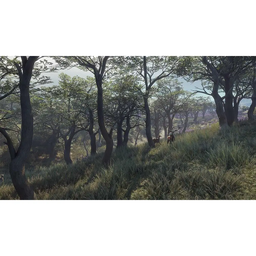 Ключ активації Microsoft TheHunter: Call of the Wild - Diamond Bundle для Xbox One/Series - фото 6
