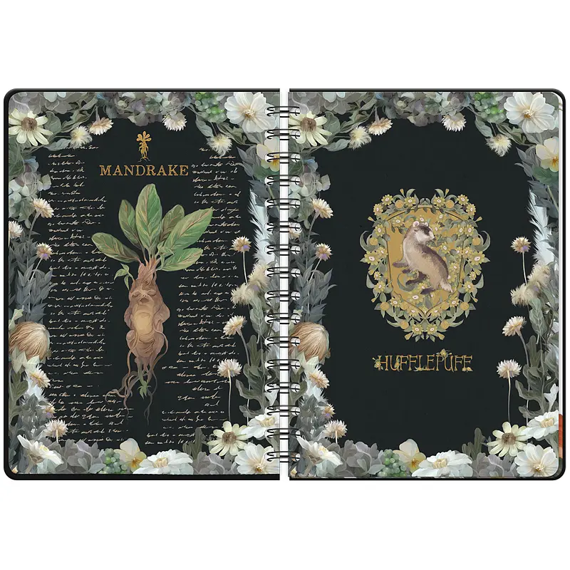 Щоденник шкільний Kite Harry Potter на спіралі тверда обкладинка (HP23-438) - фото 6