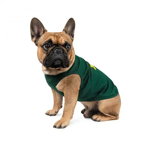 Комбінезон Pet Fashion Sun Please для собак, розмір S2, зелений - фото 2