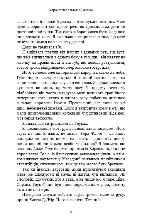 Кров і попіл: Королівство плоті й вогню (Подарункова) - Дженніфер Л. Арментраут - фото 12