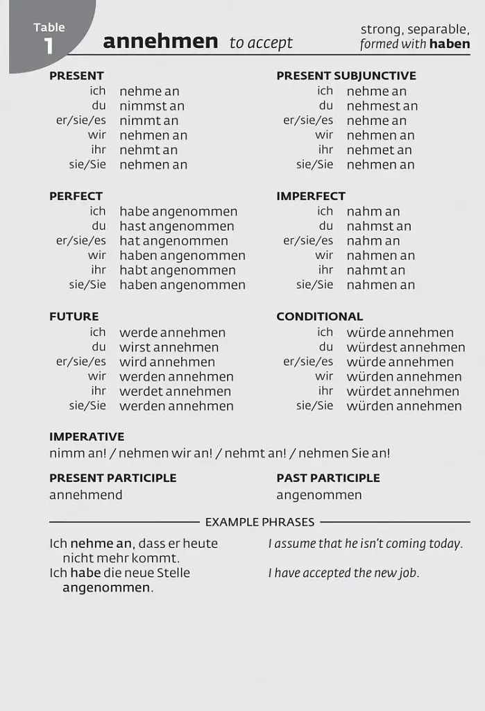 Collins German School Dictionary - фото 5