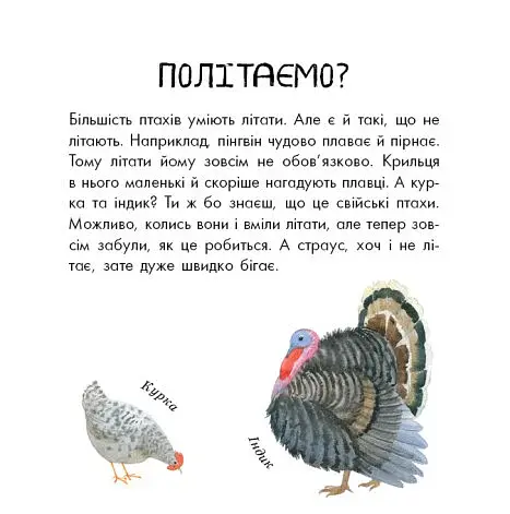 В гостях у природи. Птахи різні та дивовижні - фото 2
