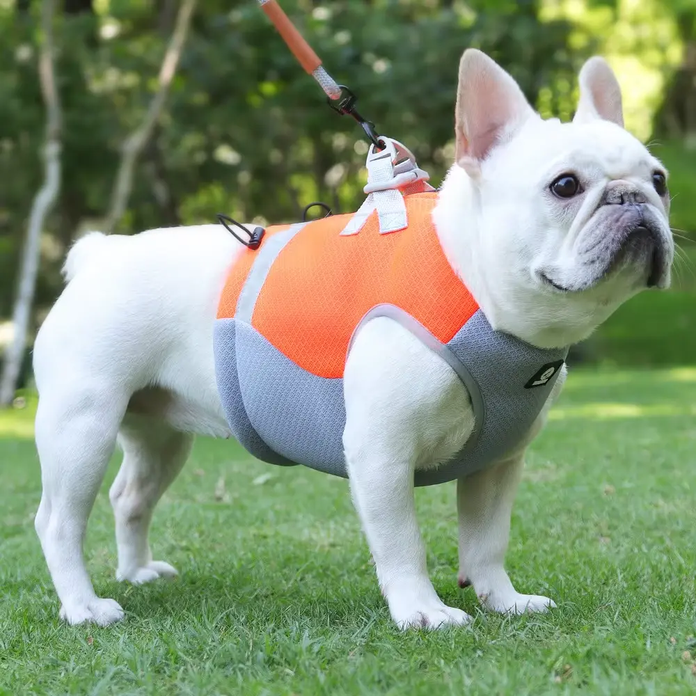 Літній охолоджувальний жилет для собак Derby Summer Dog Cooling Vest PPA0116-4, Orange, XL - фото 2