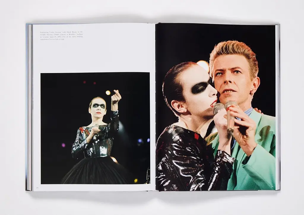 Annie Lennox: Retrospective - фото 4
