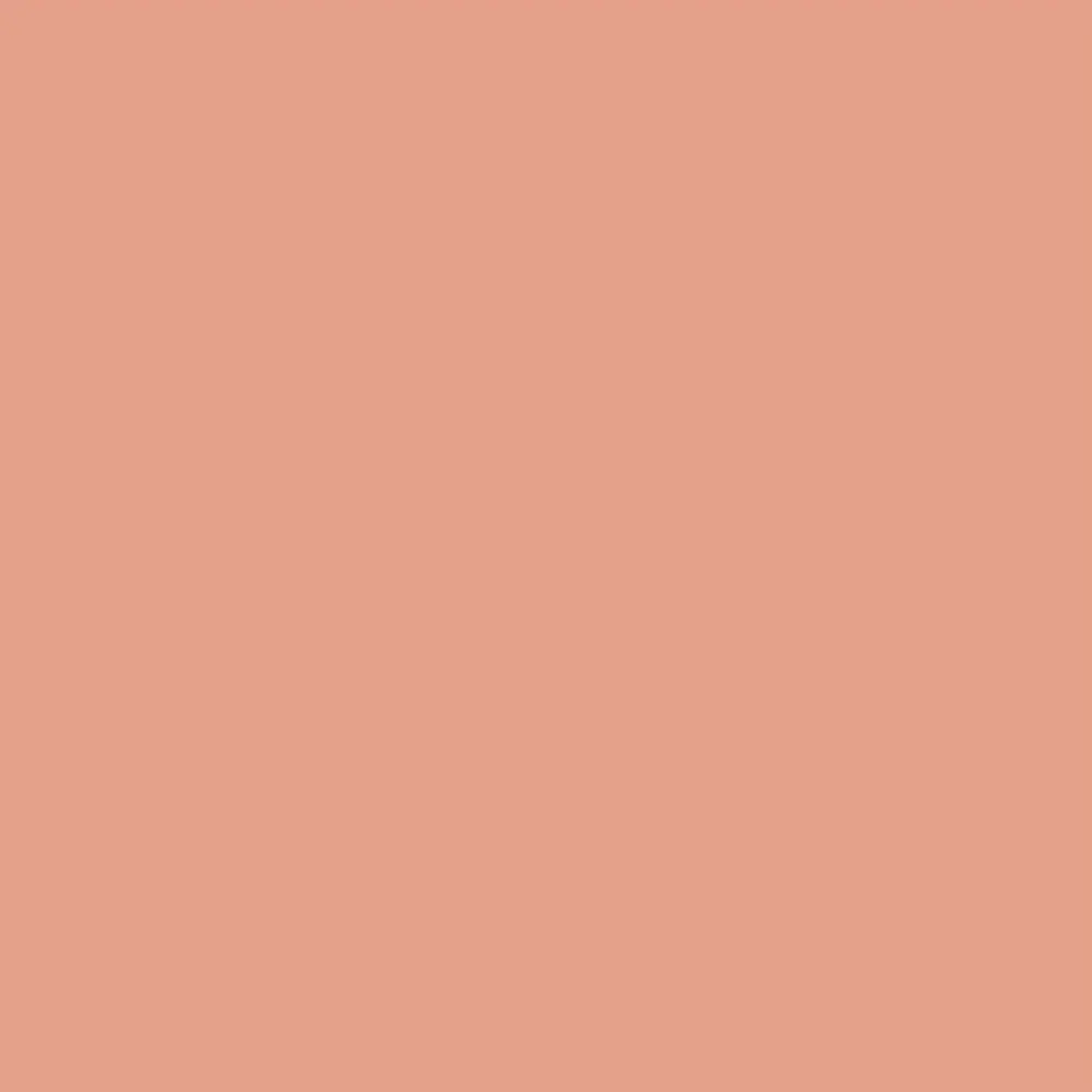 Румяна компактные Paese Blush With Argan Oil с аргановым маслом 54 3 г - фото 2