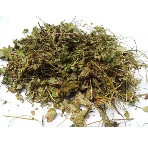 Суниця лісова Листя Fragaria vesca - фото 2
