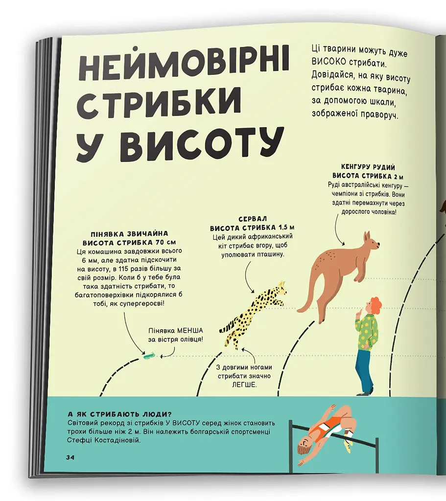 Порівняння. Виміряй увесь світ. Моя перша книжка - Клайв Гіффорд - фото 2