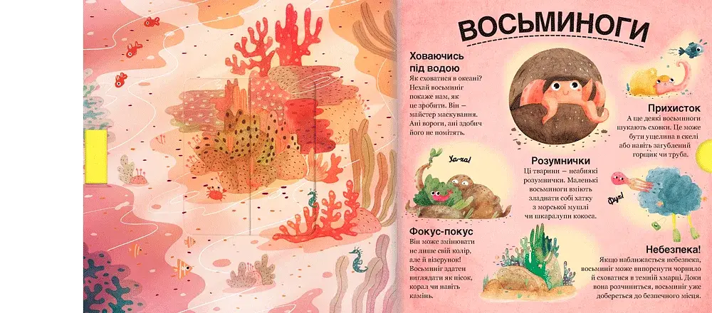Хто ховається між листям й у воді - фото 4